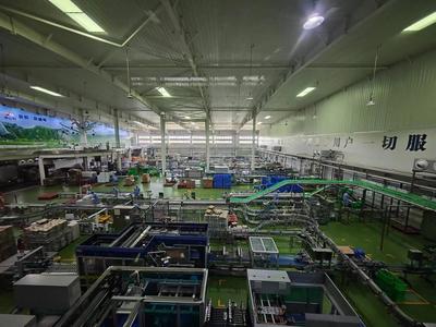 華山腳下，品質牛奶的綠色傳奇 從生態牧場到‘華山之巔’的匠心之旅